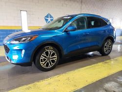 Salvage cars for sale at Indianapolis, IN auction: 2020 Ford Escape SEL