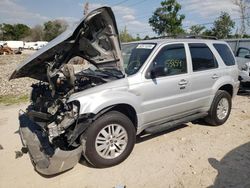 Salvage cars for sale from Copart Riverview, FL: 2006 Mercury Mariner