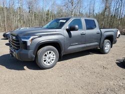 Salvage cars for sale from Copart Bowmanville, ON: 2023 Toyota Tundra Crewmax SR