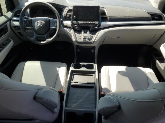 2024 Honda Odyssey EXL