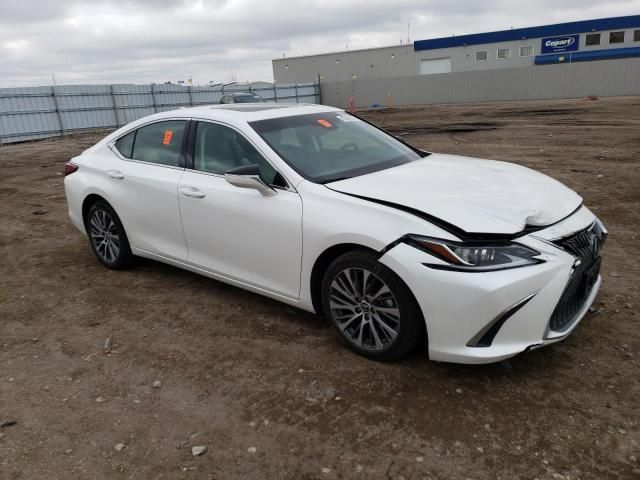 2021 Lexus ES 250 Base