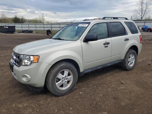 2009 Ford Escape XLT