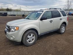 Ford Escape XLT Vehiculos salvage en venta: 2009 Ford Escape XLT