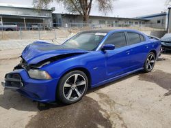 Salvage cars for sale at Albuquerque, NM auction: 2013 Dodge Charger R/T