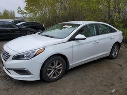 Vehiculos salvage en venta de Copart Arlington, WA: 2016 Hyundai Sonata SE