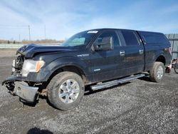Salvage cars for sale from Copart Ottawa, ON: 2014 Ford F150 Supercrew