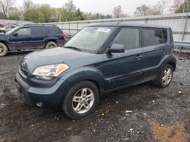 2011 KIA Soul +