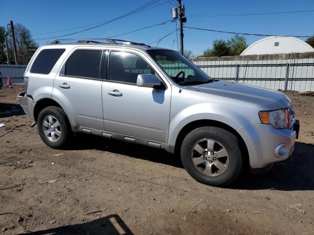 2011 Ford Escape Limited