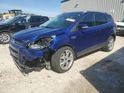 Salvage cars for sale at Franklin, WI auction: 2015 Ford Escape Titanium