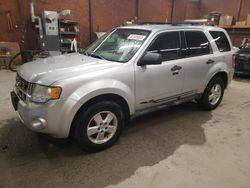 Salvage cars for sale from Copart Ebensburg, PA: 2010 Ford Escape XLT