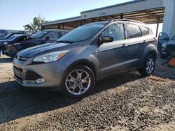 2014 Ford Escape SE for sale in Riverview, FL