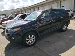 Salvage cars for sale at Louisville, KY auction: 2011 KIA Sorento Base