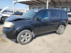 Honda salvage cars for sale: 2013 Honda Pilot EX