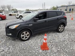 Salvage cars for sale at Barberton, OH auction: 2016 Ford Escape SE