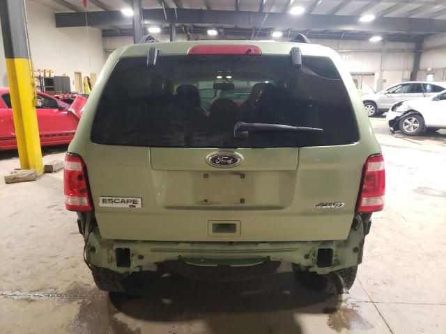 2008 Ford Escape XLT