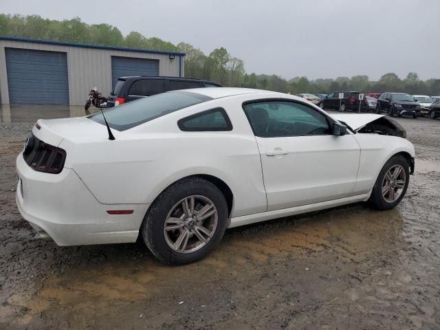 2013 Ford Mustang