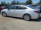 2015 Lexus ES 300H