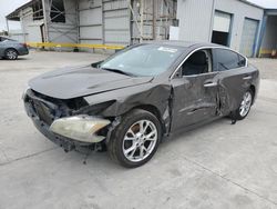 Salvage cars for sale from Copart Corpus Christi, TX: 2012 Nissan Maxima S