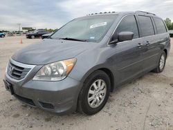 Honda salvage cars for sale: 2010 Honda Odyssey EXL