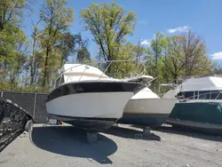 Salvage cars for sale from Copart Waldorf, MD: 1988 Stlo Boat