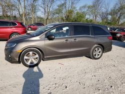 2018 Honda Odyssey EXL en venta en Cicero, IN