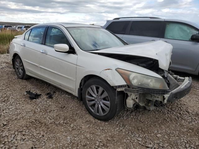 2008 Honda Accord EXL