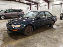 Salvage cars for sale at Avon, MN auction: 1996 Toyota Corolla DX