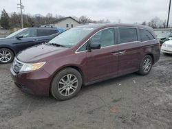 Salvage cars for sale at York Haven, PA auction: 2013 Honda Odyssey EXL