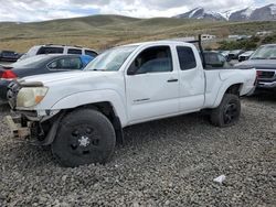 Toyota salvage cars for sale: 2005 Toyota Tacoma Prerunner Access Cab