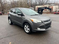 Salvage cars for sale at North Billerica, MA auction: 2014 Ford Escape SE