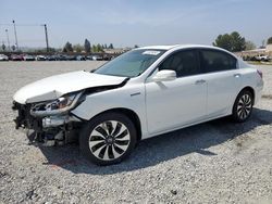 Salvage cars for sale at Mentone, CA auction: 2014 Honda Accord Hybrid EXL