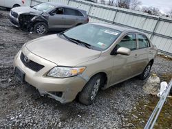 Salvage cars for sale from Copart Albany, NY: 2010 Toyota Corolla Base