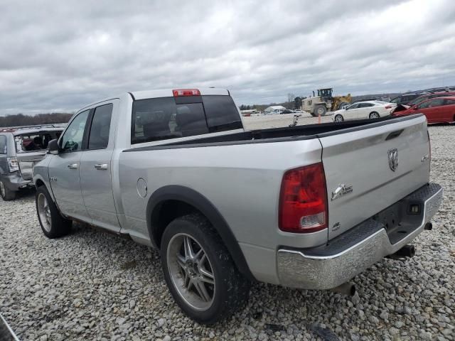 2010 Dodge RAM 1500