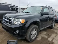 Ford salvage cars for sale: 2010 Ford Escape XLT