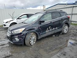 Salvage cars for sale at Albany, NY auction: 2019 Ford Escape SEL