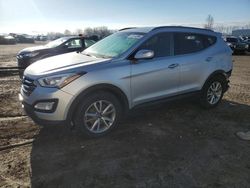 Salvage cars for sale from Copart Davison, MI: 2015 Hyundai Santa FE Sport