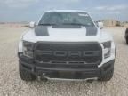 2019 Ford F150 Raptor