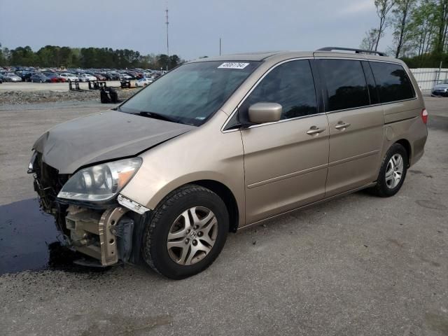 2006 Honda Odyssey EXL