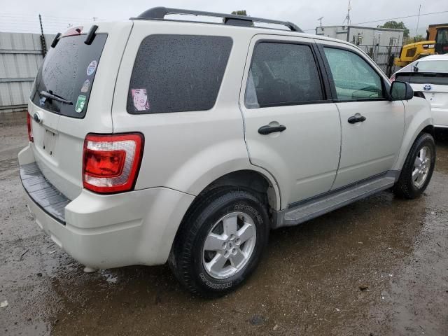 2009 Ford Escape XLT