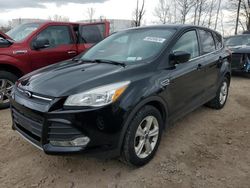 Salvage cars for sale at Central Square, NY auction: 2016 Ford Escape SE