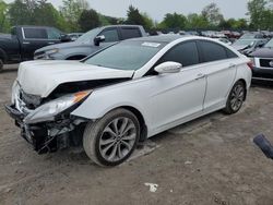 Salvage cars for sale at Madisonville, TN auction: 2013 Hyundai Sonata SE