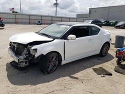 Salvage cars for sale at Jacksonville, FL auction: 2013 Scion TC