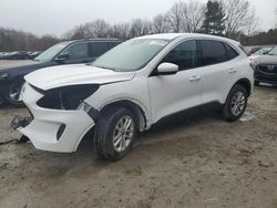 Ford Escape salvage cars for sale: 2020 Ford Escape SE