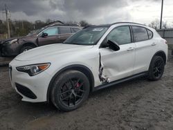 Alfa Romeo Vehiculos salvage en venta: 2019 Alfa Romeo Stelvio TI