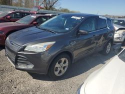 Salvage cars for sale at Assonet, MA auction: 2015 Ford Escape SE