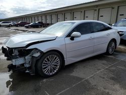 Salvage cars for sale from Copart Louisville, KY: 2019 Toyota Avalon XLE