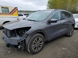 Salvage cars for sale from Copart Arlington, WA: 2021 Ford Escape SEL