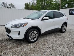 Salvage cars for sale at Baltimore, MD auction: 2020 Ford Escape SE