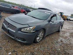 Salvage cars for sale at Memphis, TN auction: 2010 Nissan Maxima S