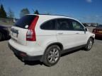 2009 Honda CR-V EXL